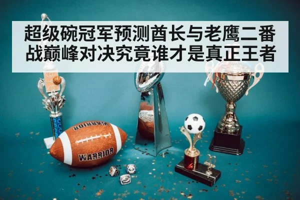 超级碗冠军预测酋长与老鹰二番战巅峰对决究竟谁才是真正王者