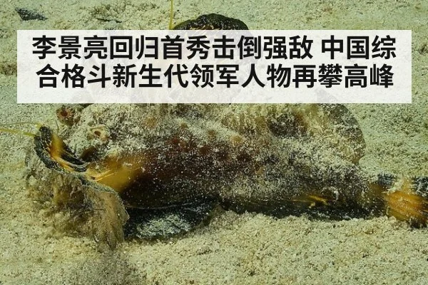 李景亮回归首秀击倒强敌 中国综合格斗新生代领军人物再攀高峰